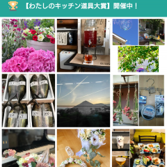 女性向けアプリ「キュレーションサイト」とは？スマホに1つは入れとこう！のアイコン