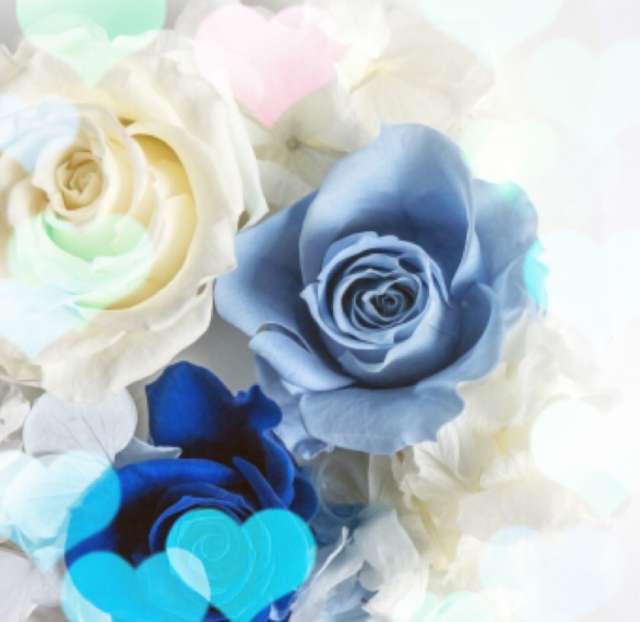 インスタで目立つ 派手加工のやり方とマストハブの写真加工アプリ5選 Iphone Android対応のスマホアプリ探すなら Apps