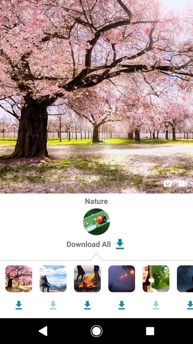 写真をゆらゆらさせたりキラキラさせるには 新感覚写真加工アプリ3選 Iphone Androidスマホアプリ ドットアップス Apps