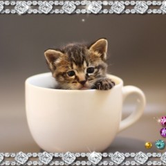 額縁風フレームで写真をアートっぽく！お勧め写真加工アプリ3選とやり方のアイコン