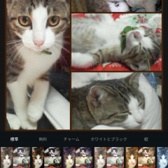 合成・分割で誰よりも目立つ写真を作るテクニック&おすすめ加工アプリ4選のアイコン