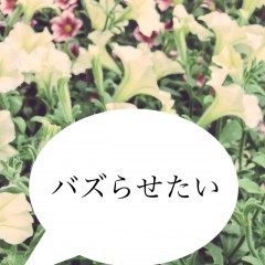 バズらせたい人必見！Twitter映えできる写真加工方法とアイデアのアイコン