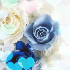 インスタで目立つ！派手加工のやり方とマストハブの写真加工アプリ5選のアイコン