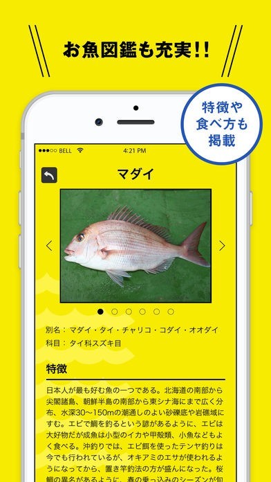 フィッシュ Aiが魚を判定する未来の魚図鑑 おすすめ 無料スマホゲームアプリ Ios Androidアプリ探しはドットアップス Apps