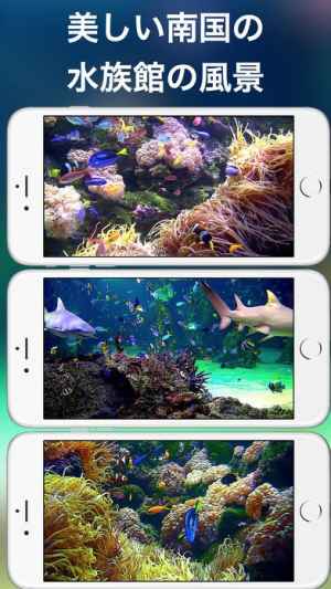 アクアリウムhd Iphone Android対応のスマホアプリ探すなら Apps