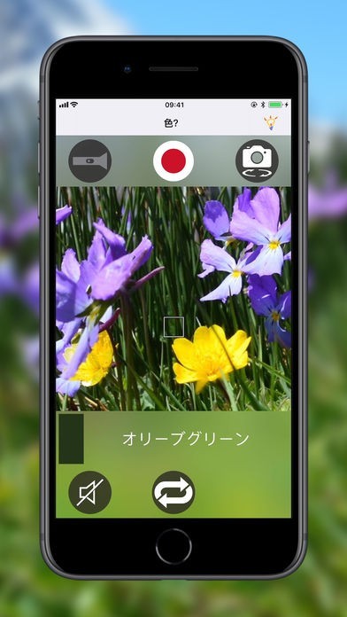 色？ | スクリーンショット
