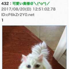 情報チェックに便利な2chまとめアプリ5選のアイコン