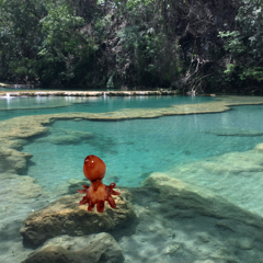 自由に背景を白くしたり消したりする写真加工のやり方&お勧めアプリ4選のアイコン