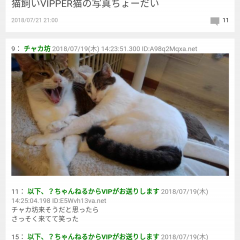 必見！モッサリ重い2chまとめアプリをスッキリ軽くする4つのワザのアイコン