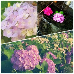 フレーム&加工で写真をオシャレに魅せよう！使いやすい写真加工アプリ3選のアイコン