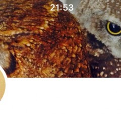 個性をアピール！ツイッターのヘッダー画像のサイズ変更方法・作り方まとめのアイコン