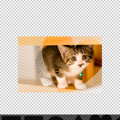 アプリで半透明に写真加工をしてみよう！簡単に使えるおすすめアプリとは？のアイコン