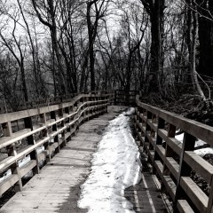  深みのあるオシャレなモノクロ写真を作る写真加工アプリと上級テクニックのアイコン