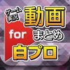 ゲーム実況動画まとめ for 白猫プロジェクト（白プロ） アイコン