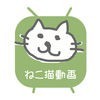 ねこ猫動画 - 猫の最新動画まとめ for YOUTUBE アイコン