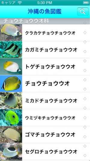 沖縄の魚図鑑 おすすめ 無料スマホゲームアプリ Ios Androidアプリ探しはドットアップス Apps