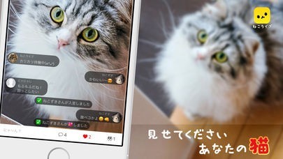 ねこライブ - 猫専用！写真,動画,ライブ配信アプリ | スクリーンショットその1