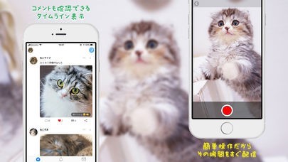 ねこライブ - 猫専用！写真,動画,ライブ配信アプリ | スクリーンショットその2