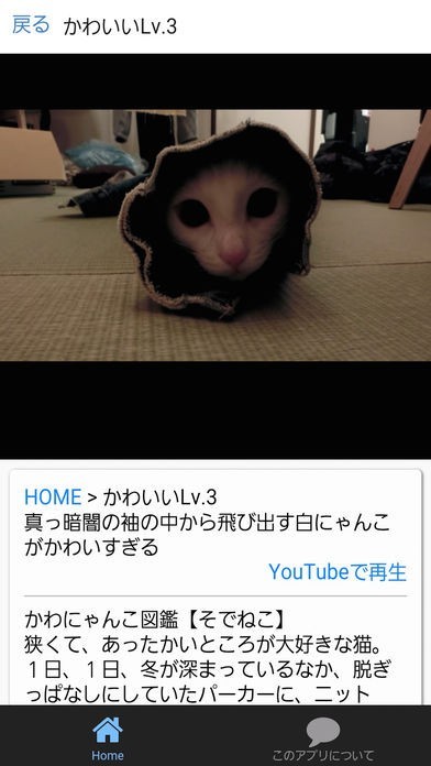 袖猫（そでねこ）動画まとめ | スクリーンショットその2