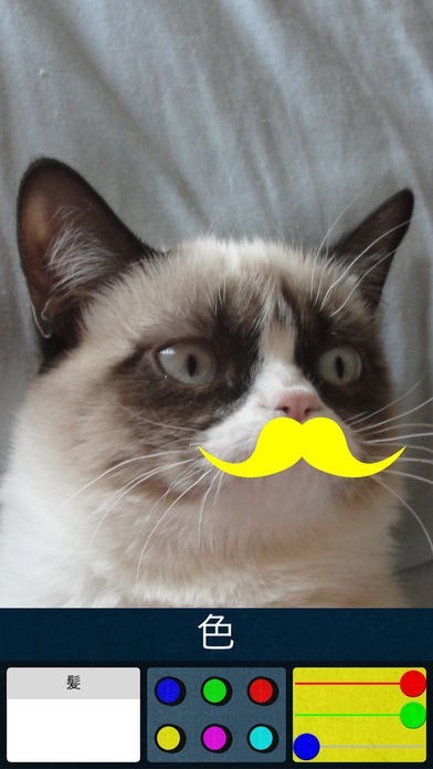 ヒゲのカラーステッカー - 口ヒゲを写真に追加して色を変更 | スクリーンショットその1