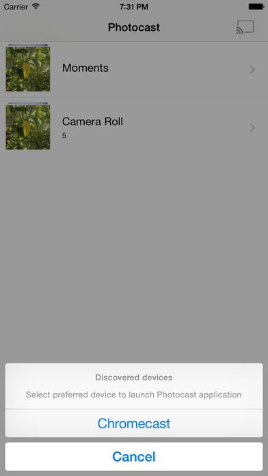 Photocast for Chromecast | スクリーンショットその1