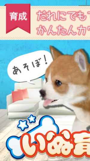 幸せの犬育成ゲーム3d Iphone Androidスマホアプリ ドットアップス Apps