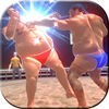 Real Sumo Fighting 2017 アイコン