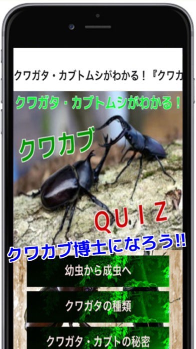 クワガタ・カブトムシがわかる！クワカブクイズ | スクリーンショットその1