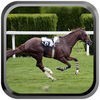 Derby Quest Horse Racing Game アイコン