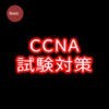 CCNA試験対策 アイコン