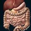3D内臓（解剖学） アイコン