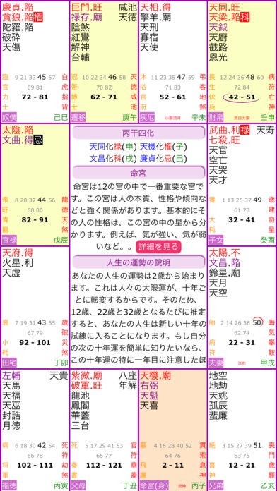 飛星紫微斗数闡秘 愛蔵版 「命盤」セット 秘訣】紫微斗数1 命盤を読み解く - [Secret] Purple Wei Dou