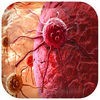 PRO - PLAGUE INC EVOLVED Game Version Guide アイコン
