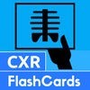 Chest X-Ray FlashCards アイコン