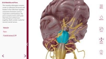2018 A&P Perpetual | スクリーンショットその2