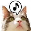 にゃお〜ん天国 - 猫の鳴き声ゲーム アイコン