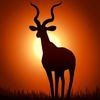 Deer Hunter: African Safari アイコン