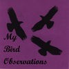 My Bird Observations アイコン