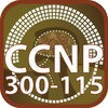 CCNP 300 115 Switch For CisCo アイコン