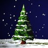 iTree - Christmas Tree アイコン