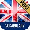 英語の語彙メモリカード、単一の方法ゲームクイズ実践を学ぶ英語の語彙を学ぶ - プレミアムエディションを アイコン