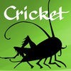 Cricket Magazine: Literature and art for kids アイコン