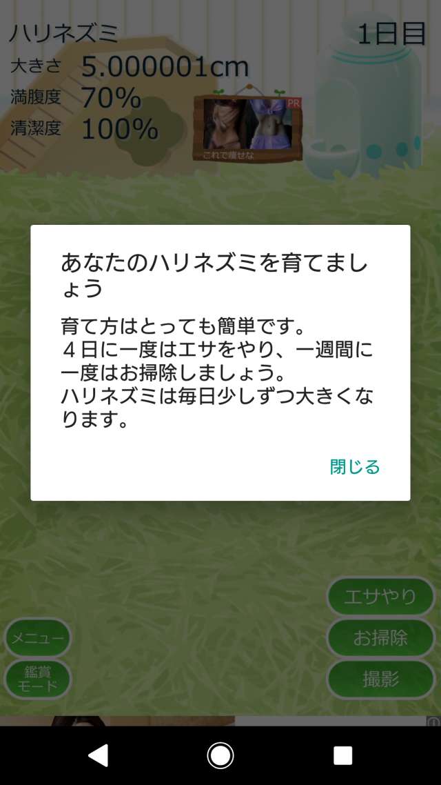 癒しのハリネズミ育成ゲーム のレビューと序盤攻略 Iphone Androidスマホアプリ ドットアップス Apps