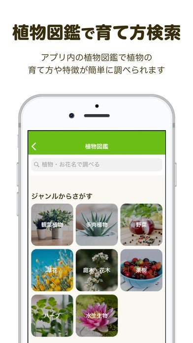 Greensnap は名前の分からない植物 花を撮影すると調べてくれる Iphone Androidスマホアプリ ドットアップス Apps