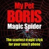 Magic Spider - My Pet Borisのアイコン