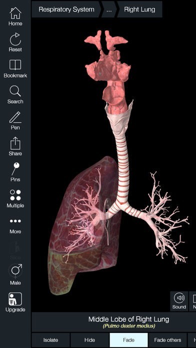 essential anatomy 5 ipa download