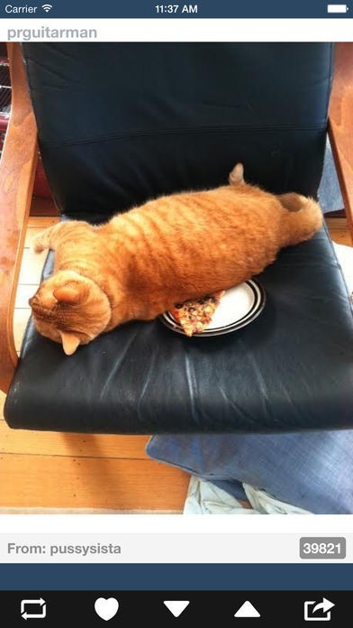 Reblgre | スクリーンショットその1