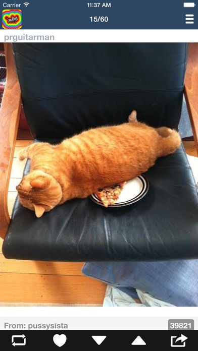 Reblgre | スクリーンショットその2