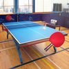 Table Tennis Touch アイコン