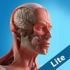 Anatomy Game Anatomicus Lite アイコン